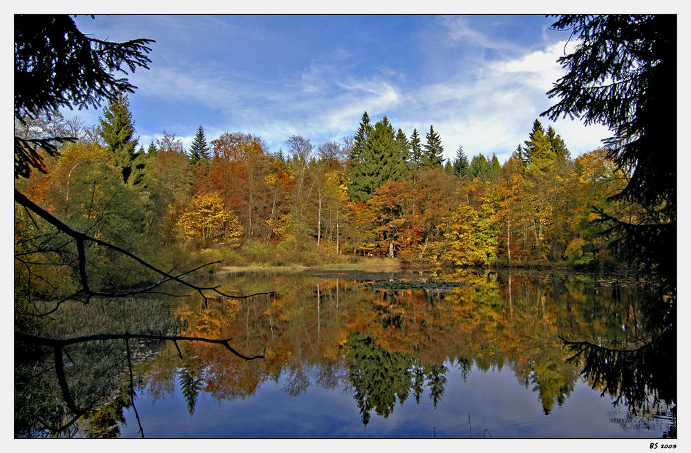 Indian Summer in Wittgenstein... - 2