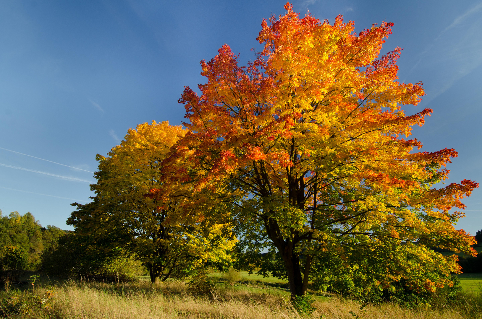 Indian Summer in Wittgenstein