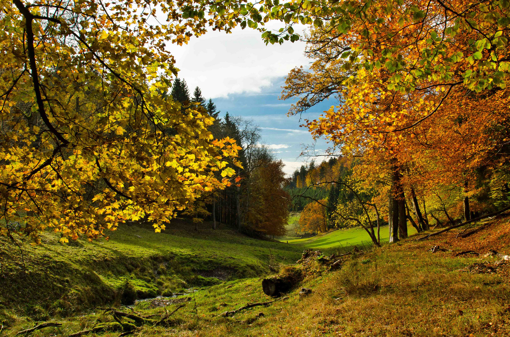 Indian Summer in Wittgenstein