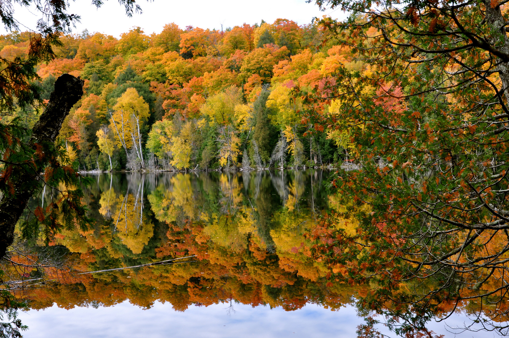 Indian Summer @ Lac a l'eau claire, Quebec, CAN