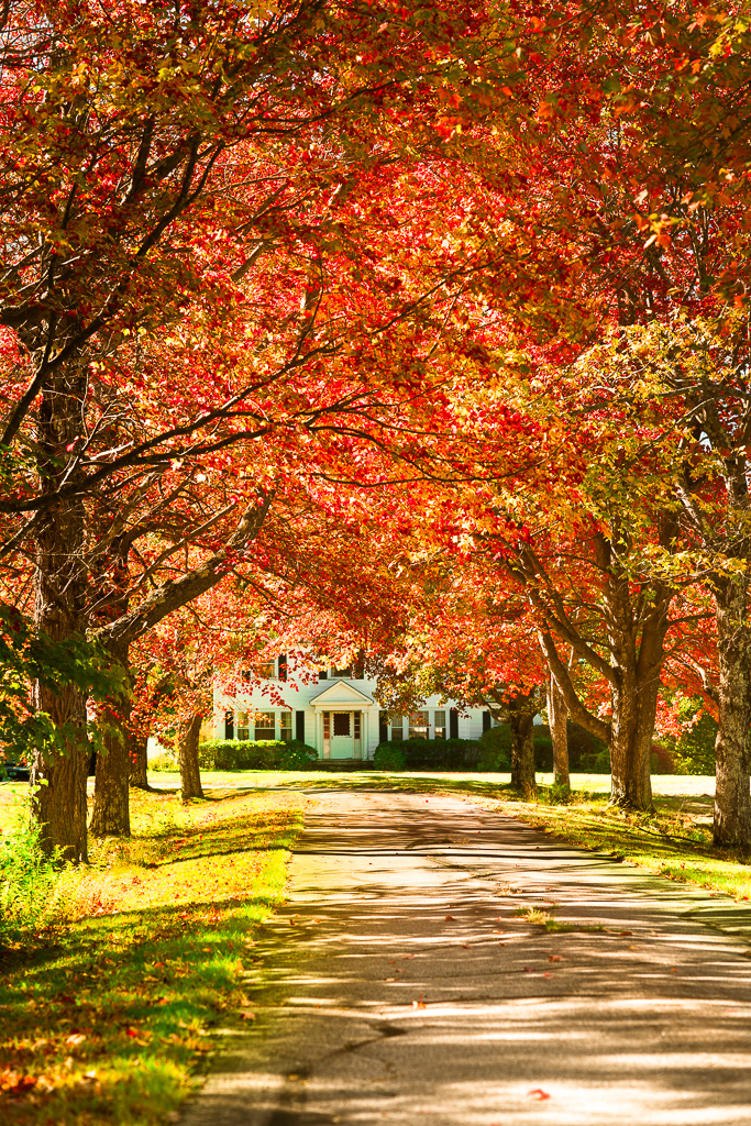 Indian Summer Maine 2