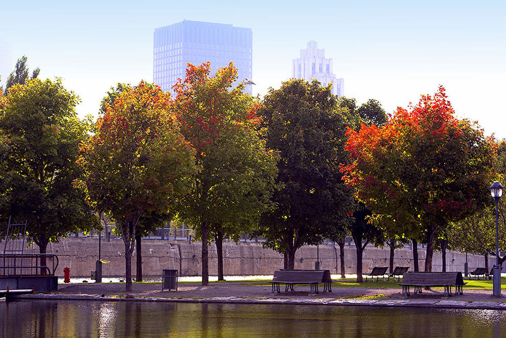 indian summer Montreal