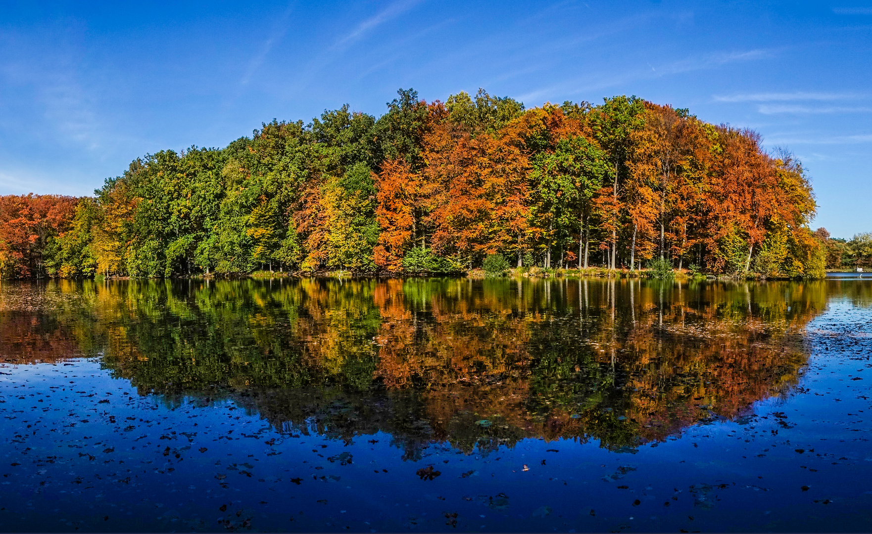 indian summer Mühlenteich bei Lasbek/Bargteheide