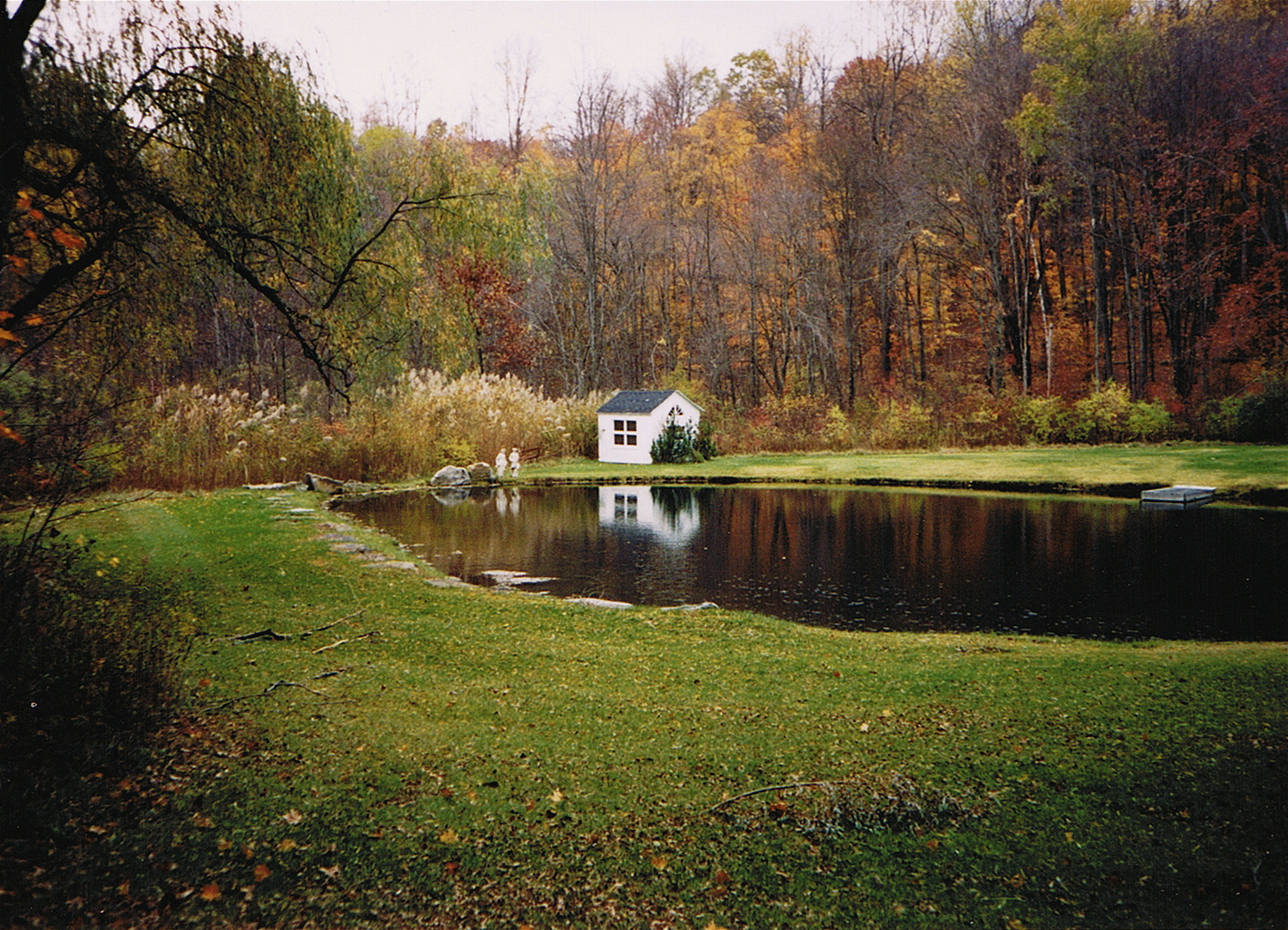 Indian summer (NY, USA)