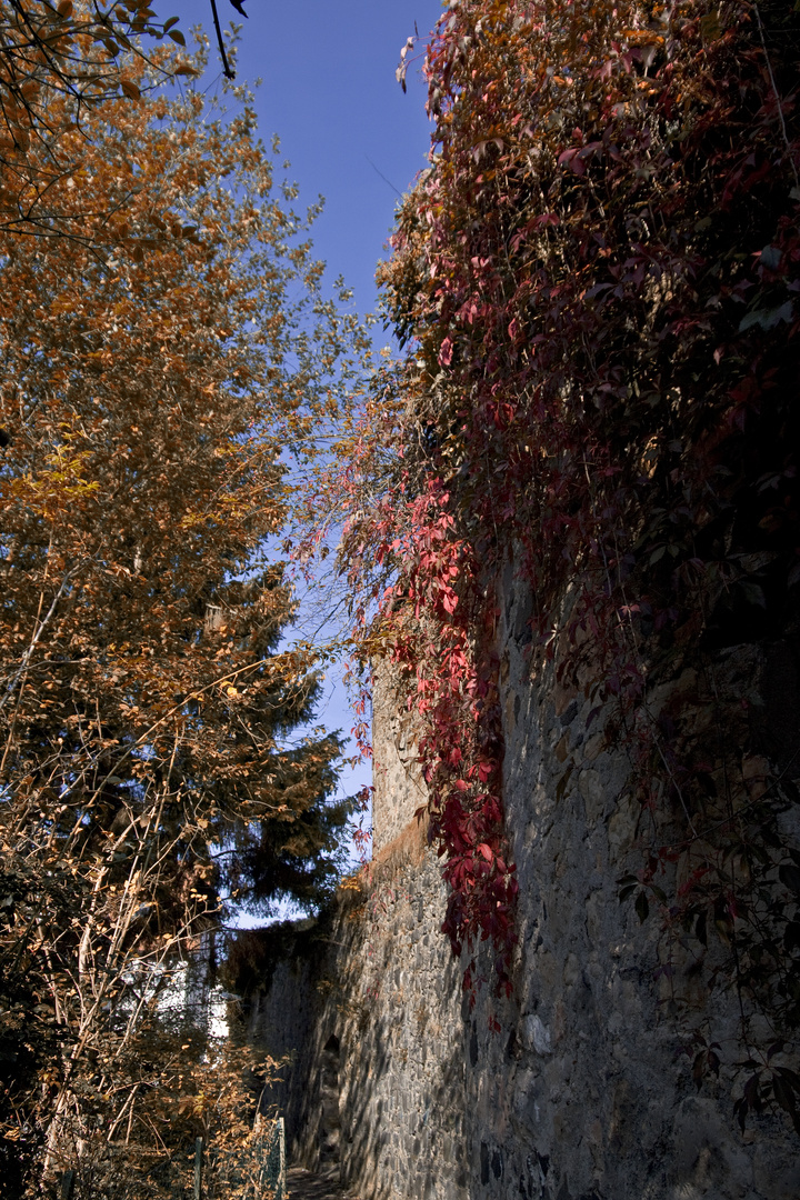 Indian Summer - Stadtmauer Alsfeld