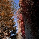 Indian Summer - Stadtmauer Alsfeld