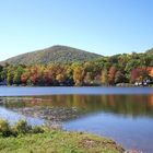 Indian Summer (Stissing Mountain/Pine Plains/NY/USA)