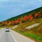 Indian Summer Truck shot