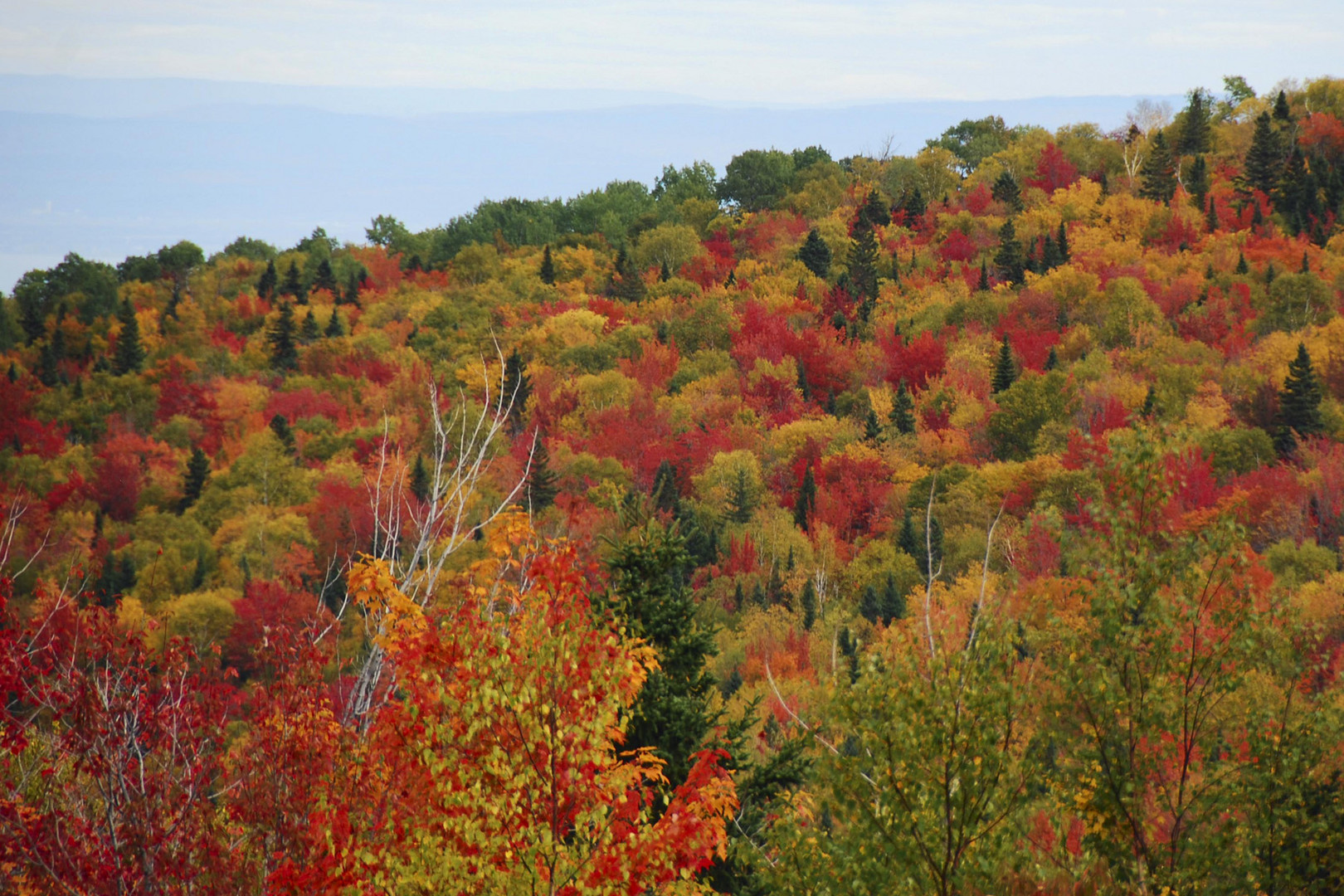 Indian Summer View