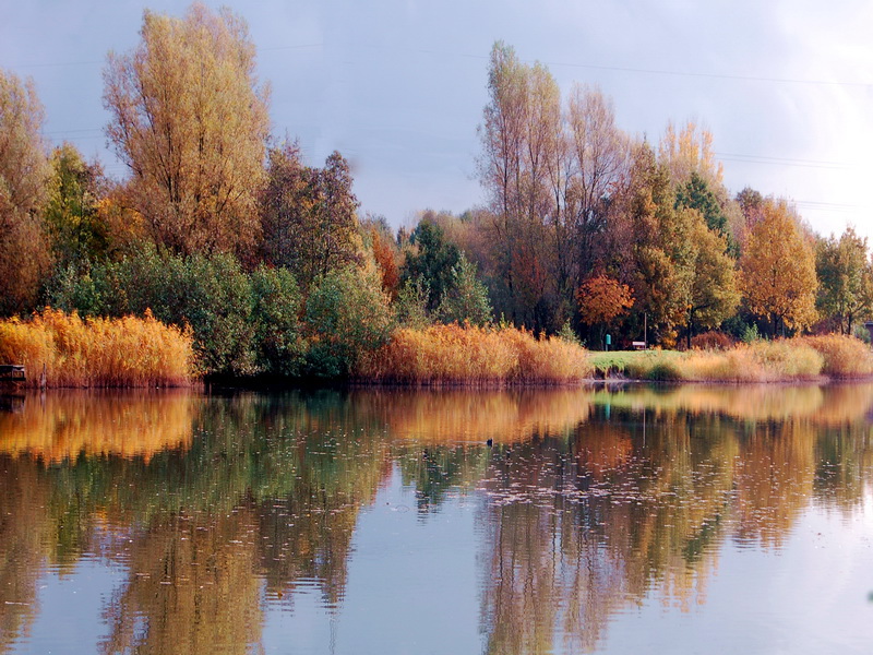 "Indian summer" vor der Haustür