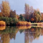 "Indian summer" vor der Haustür