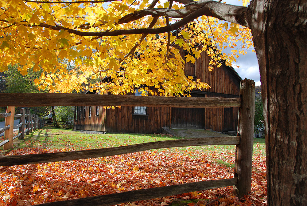 Indian Summer - Woodstock, MA