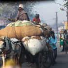 Indian transport 2