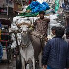 Indian transport