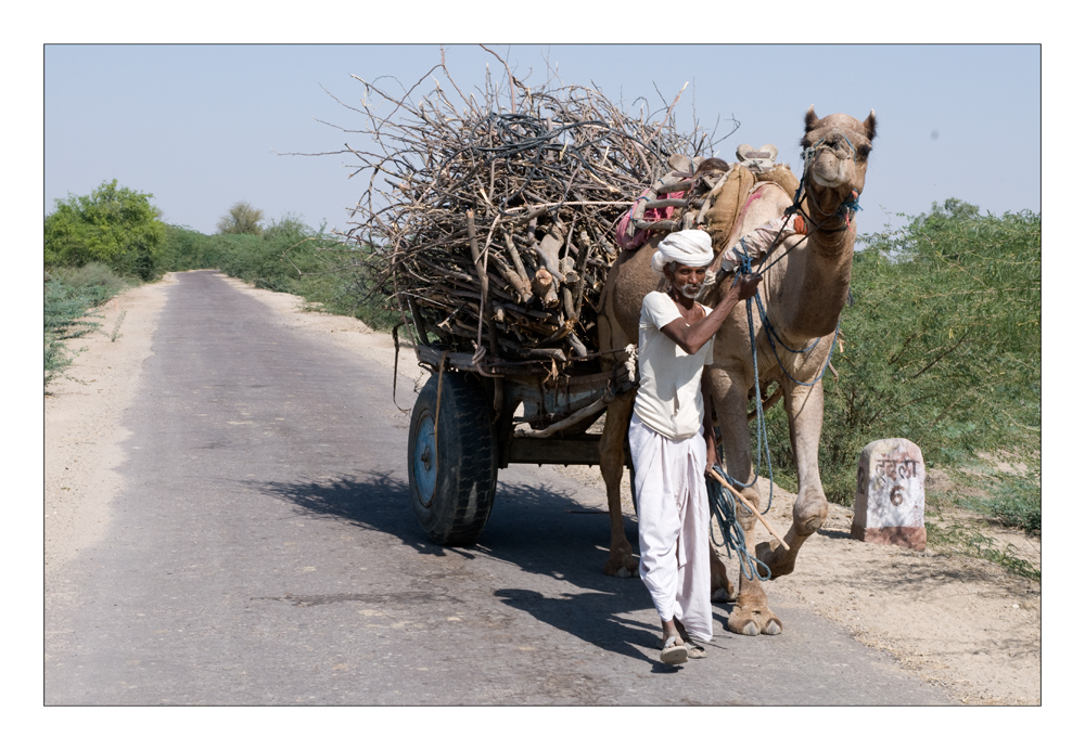 Indian Transport II