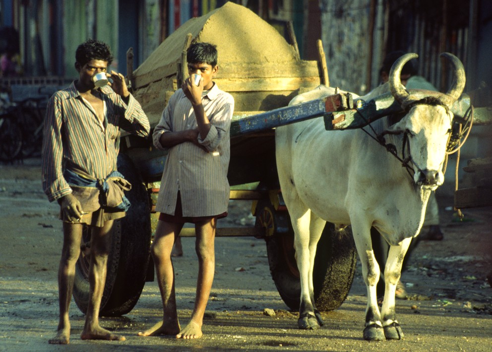 indian transporter von Tom Bögli 