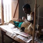 Indian Vet spaying street dog in Ooty