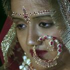 Indian Wedding