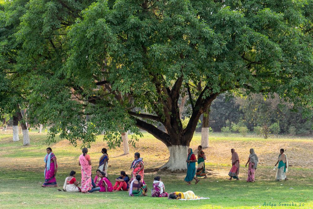 Indian women power