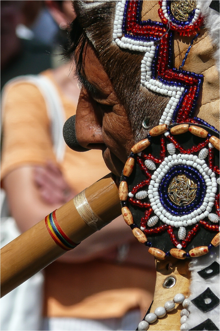 Indianer beim Geld verdienen (3)