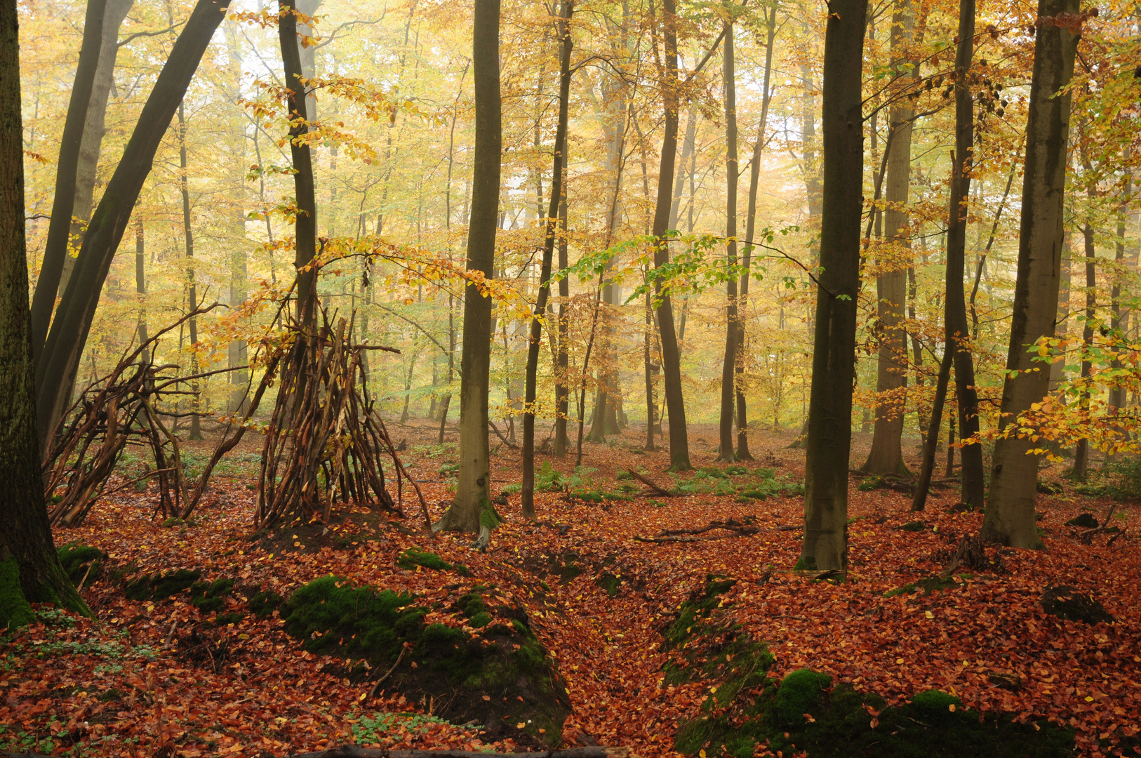 Indianer im Wald ?