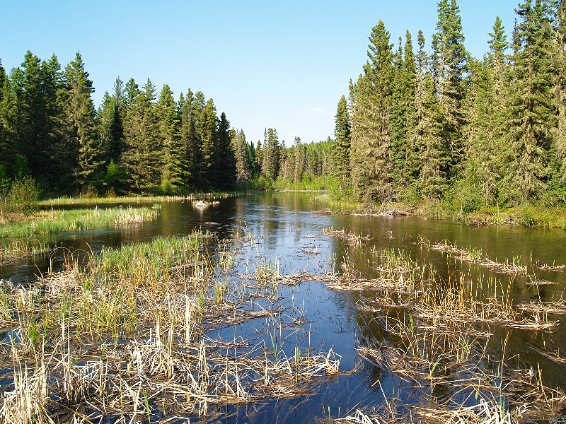 Indianerzoll Prince Albert-Natiomal-Park, Canada von Tom Hazel 