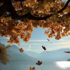 Indiansummer am Sarnersee