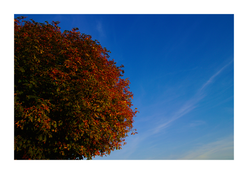 IndianSummer an der Elbe