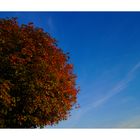 IndianSummer an der Elbe