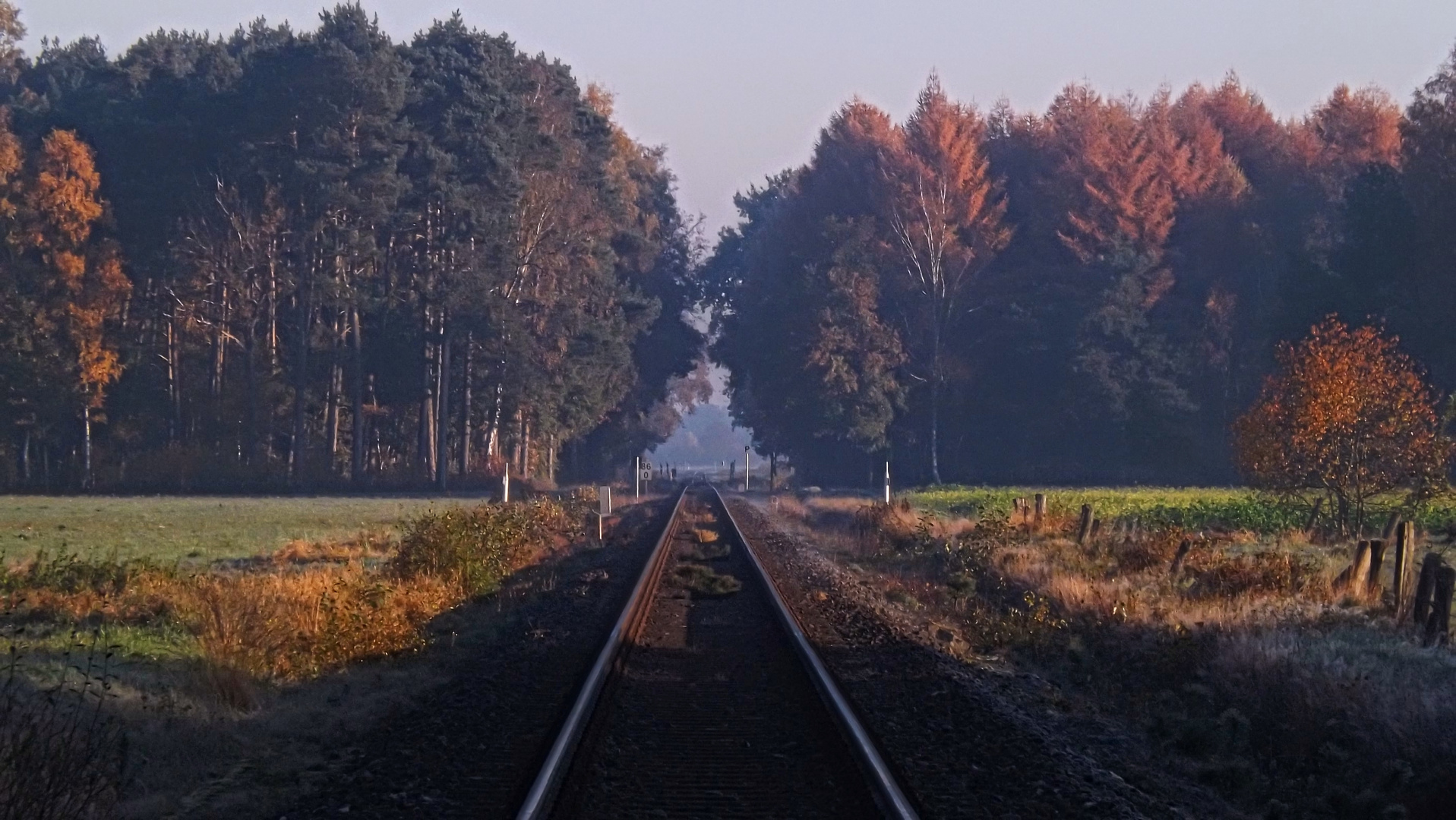 Indiansummer im November-der Zug hat Verspätung