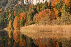 Indiansummer in Tirol 2