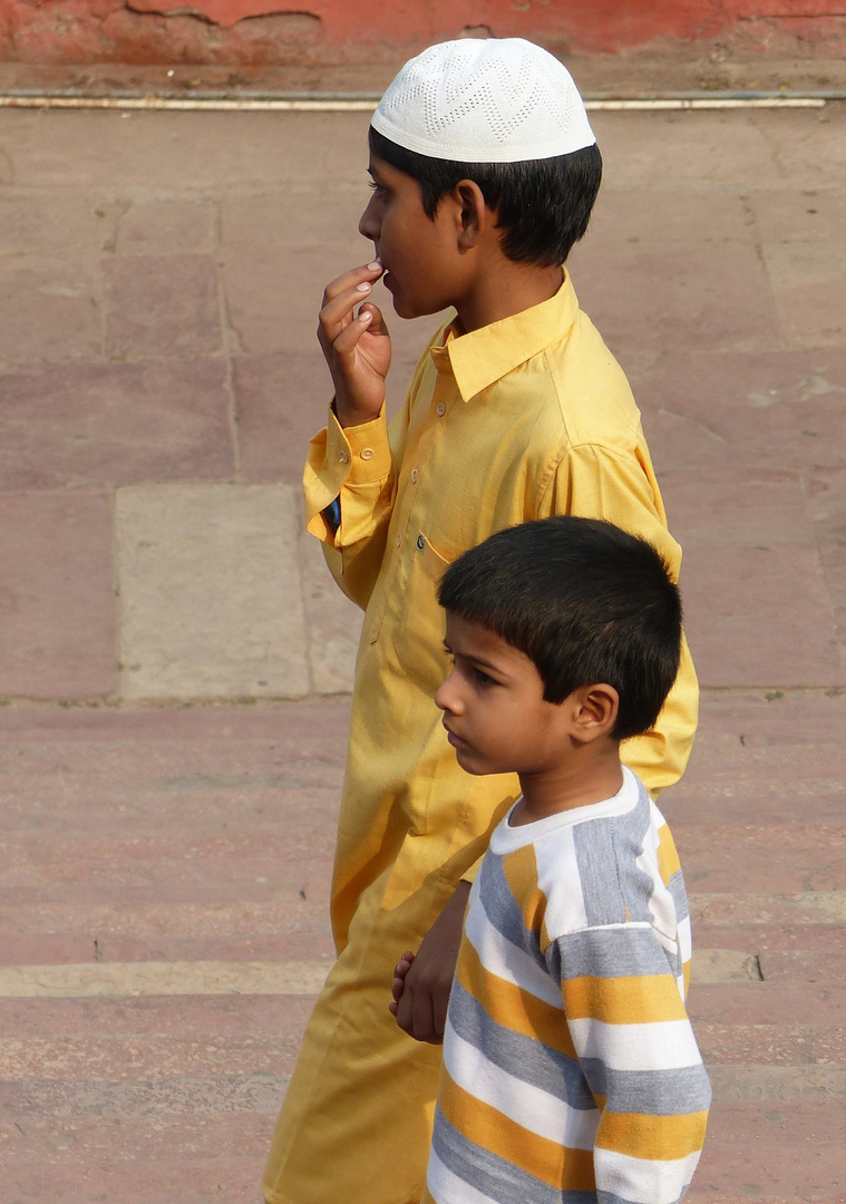 Indien 1: vertraut. Old Delhi. 