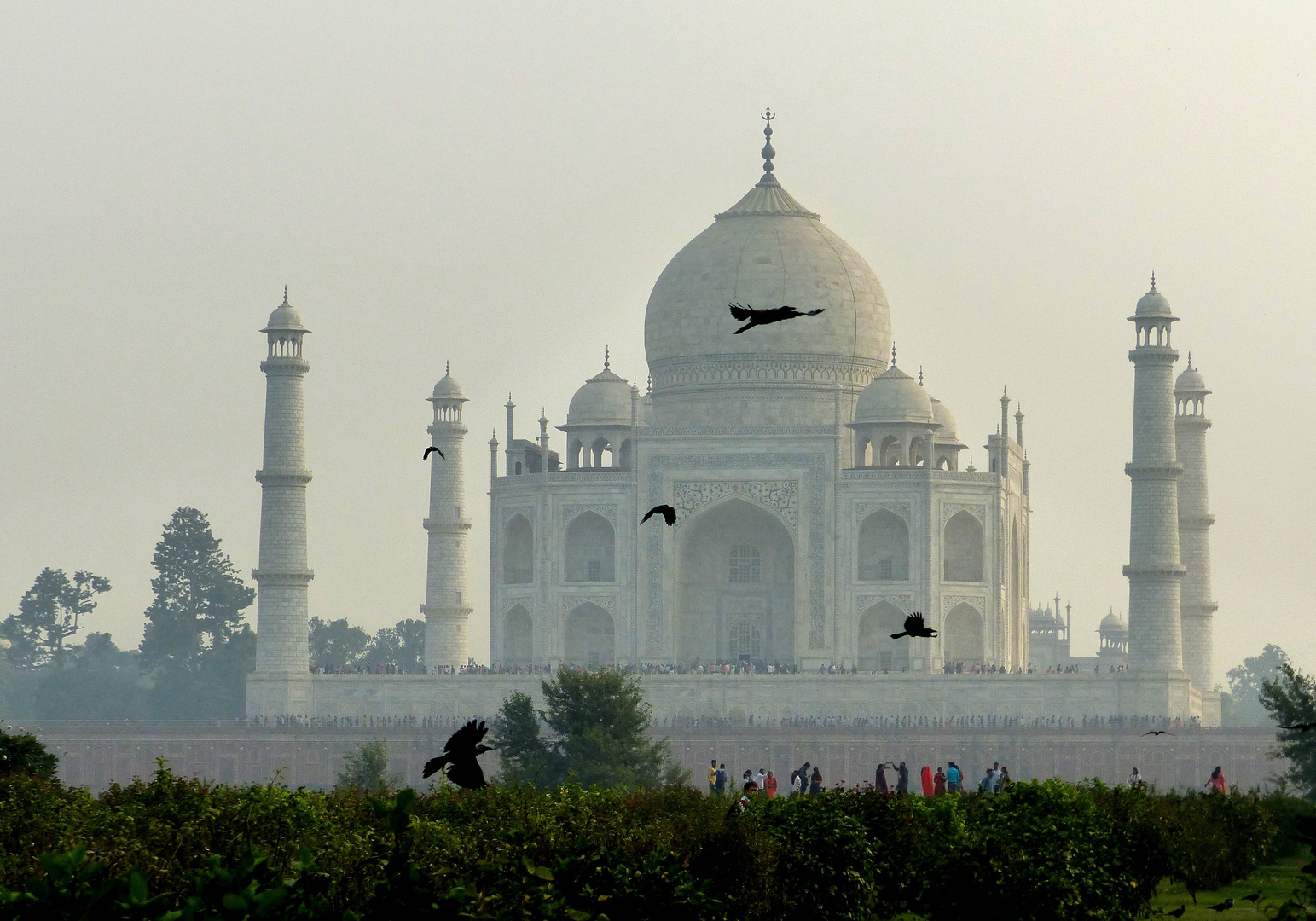 Indien 2: mystischer Taj Mahal (Rückseite). Agra 2018