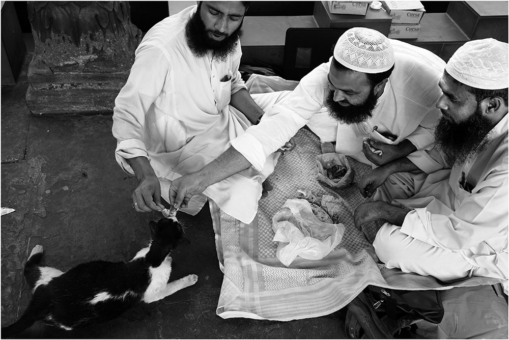 INDIEN 2010 - Jama Masjid #1