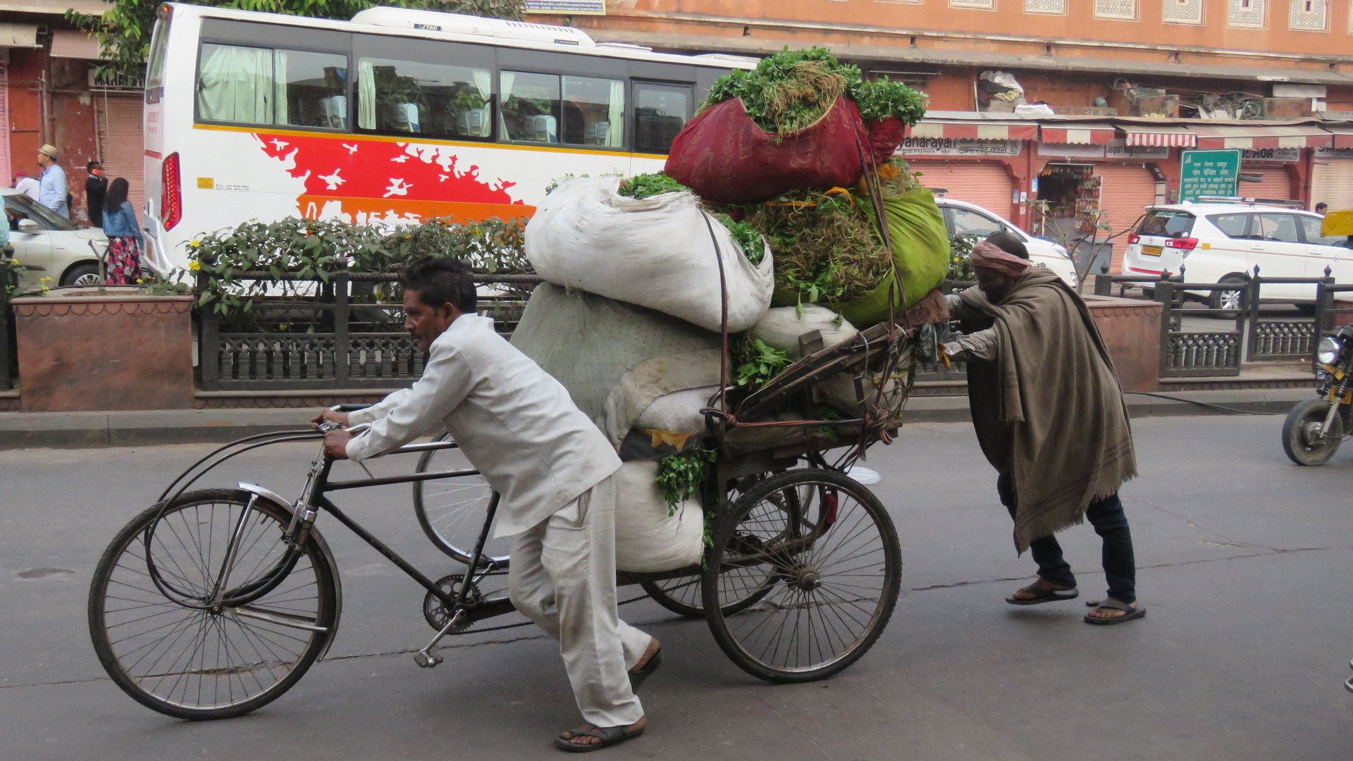 Indien (2019), klimafreundlich