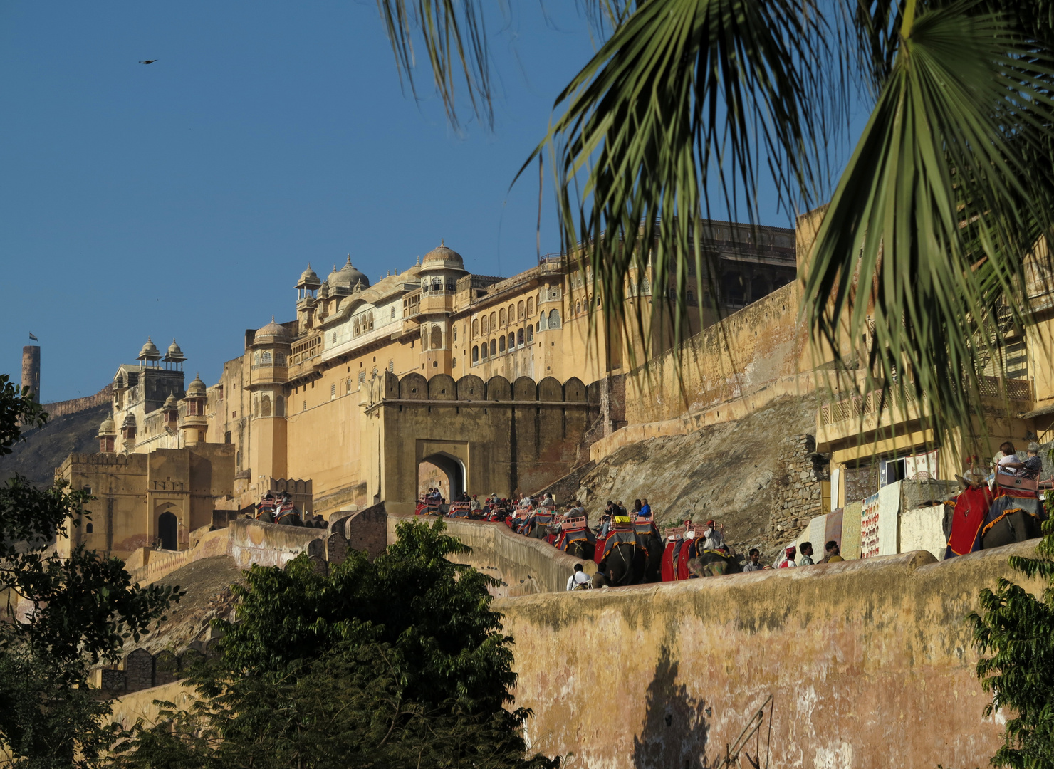 INDIEN - Amber Palace mit viele Elefanten