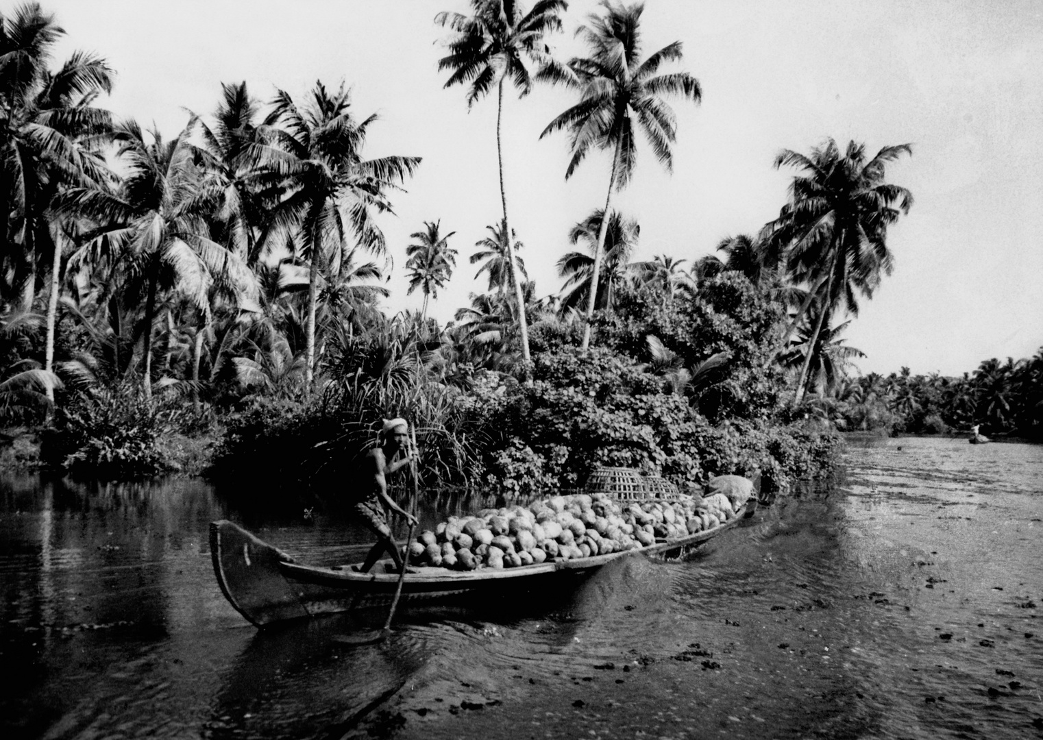 Indien Backwaters