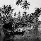 Indien Backwaters