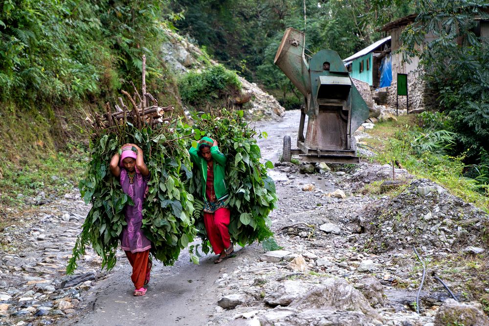 Indien - Himalaya Staat Sikkim – Impression 13