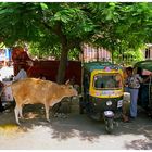 Indien / Jaipur