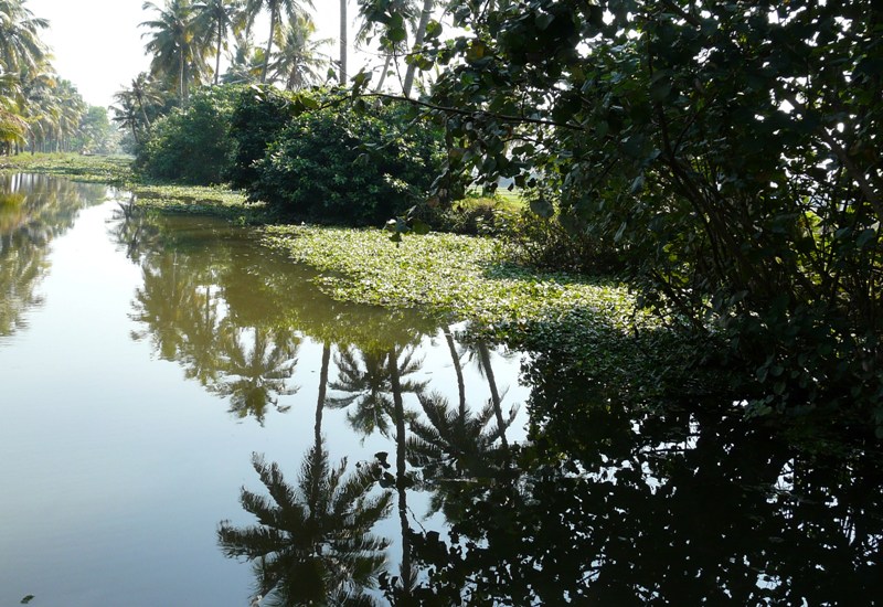 Indien - Kerala - Backwater