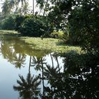Indien - Kerala - Backwater