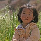 Indien, Ladkh, Nähe Hemis Gompa