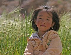 Indien, Ladkh, Nähe Hemis Gompa