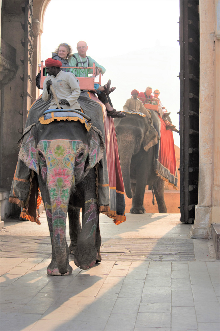 Indien  mächtiger Elefant