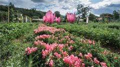 Indien mit 3 von 1000 Farben