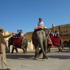 INDIEN - Polizist "spricht" mit dem Elefanten