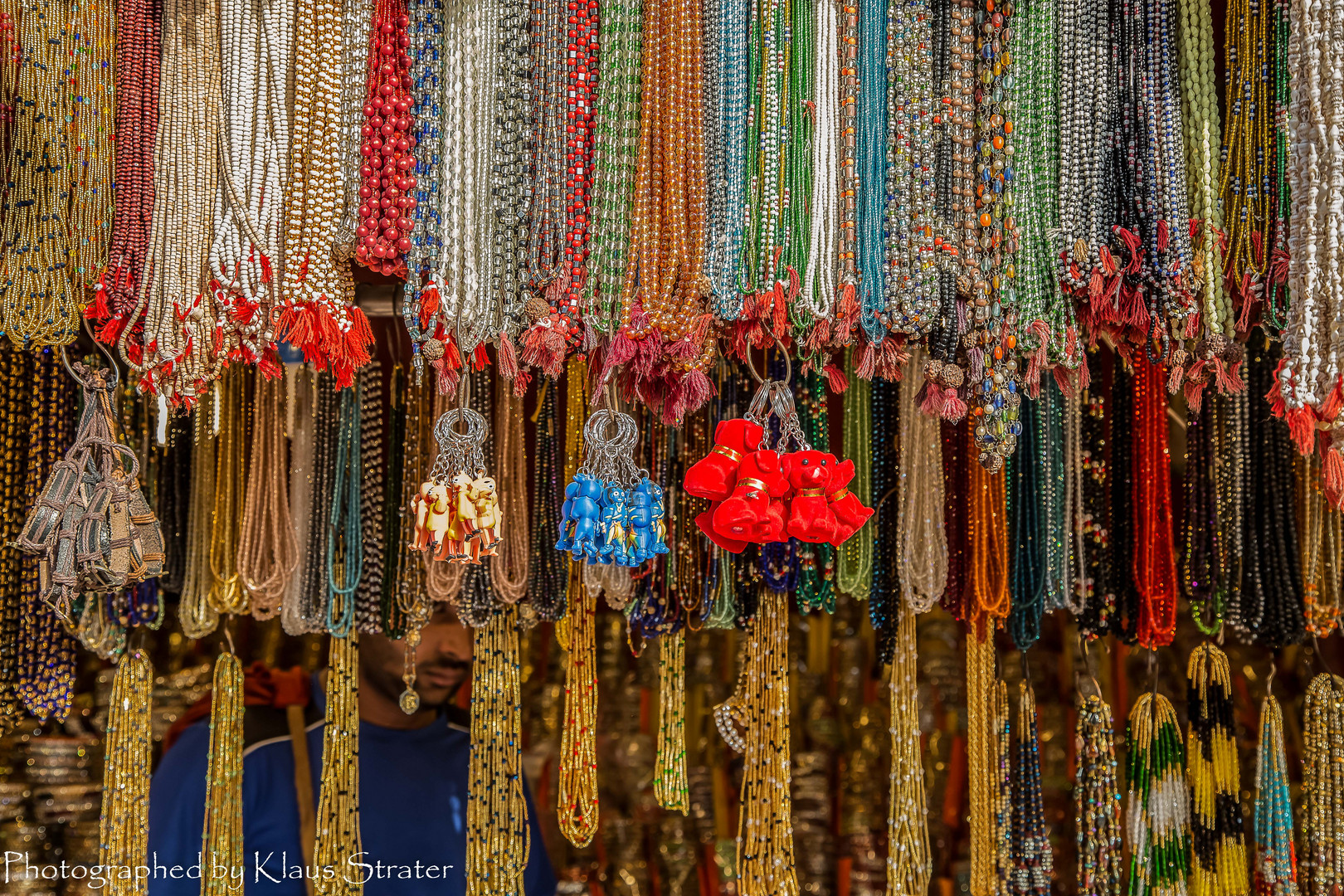 Indien Pushkar Kamelmarkt