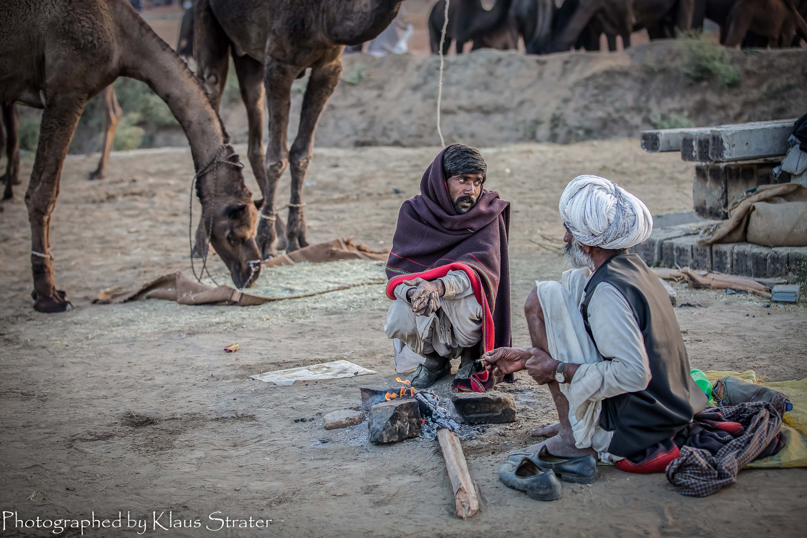 Indien Pushkar Kamelmarkt