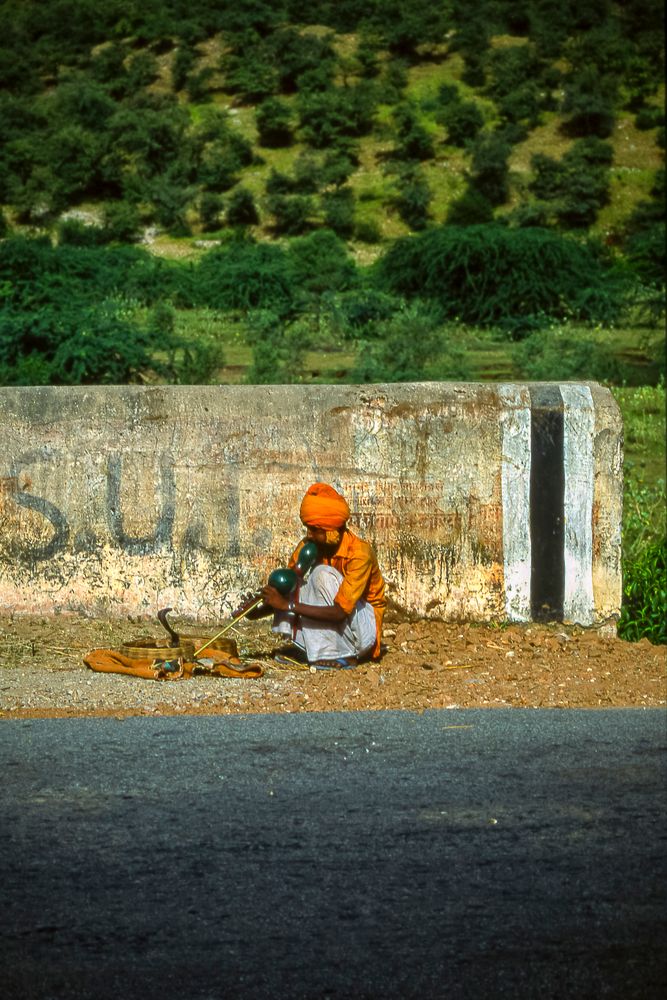 Indien - Schlangenbeschwörer in Rajasthan - analog